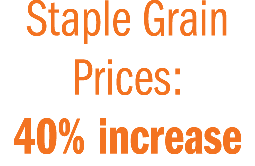 Staple Grain Prices: 40% increase 