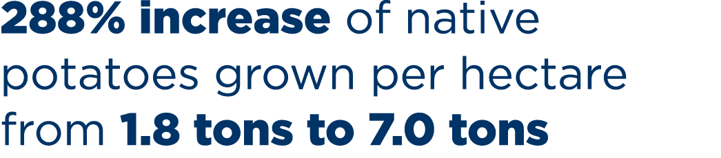288% increase of native potatoes grown per hectare from 1.8 tons to 7.0 tons
