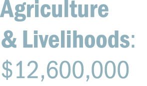 Agriculture & Livelihoods: $12,600,000