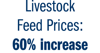Livestock Feed Prices: 60% increase 
