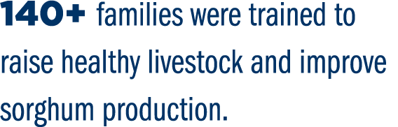 140+ families were trained to raise healthy livestock and improve sorghum production.