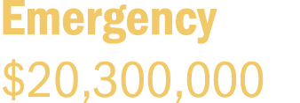 Emergency $20,300,000
